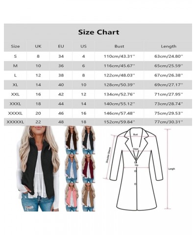 Womens Fuzzy Fleece Vest Coats Warm Sleeveless Zip Up Sherpa Jackets Casual Loose Fall Outwear with Pockets C-multicolor 04 $...