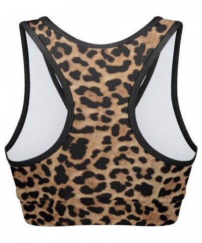 Women Padded Sports Bra Fitness Workout Running Shirts Yoga Tank Top Leopard Brown $11.65 Lingerie