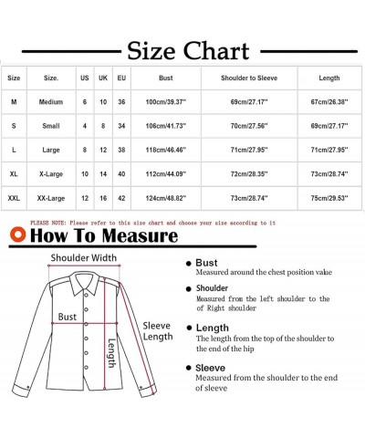 Womens Fashion 2023 Long Sleeve Sweatshirts Lightweight Casual Crew Neck Tops Fall Oversized Fleece Pullover Sweaters Iblack ...