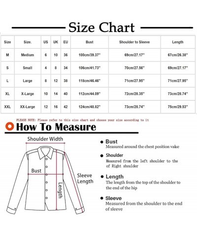 Womens Fashion 2023 Long Sleeve Sweatshirts Lightweight Casual Crew Neck Tops Fall Oversized Fleece Pullover Sweaters Iblack ...