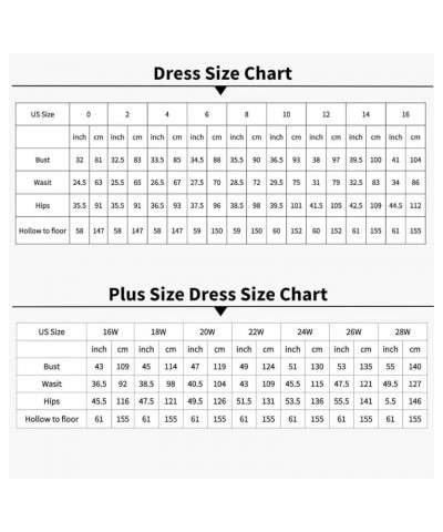 Pleated Chiffon Bridesmaid Dresses 2024 Long Sleeve V Neck Formal Evening Dress High Waist Slit Prom Gowns Light Blue $31.20 ...