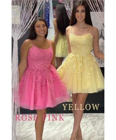 Lace Appliques Homecoming Dresses for Teens Tulle Spaghetti Strap Short Prom Dress A Line Cocktail Dress Dusty Pink $26.46 Dr...